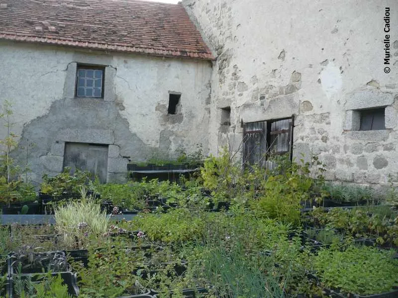 La pépinière Visuel